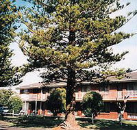 Eastern Beach Holiday Units - C Tourism
