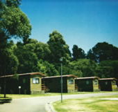 Katoomba Falls Caravan Park - C Tourism