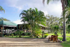  C Tourism