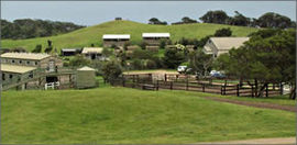Cape Schanck VIC C Tourism