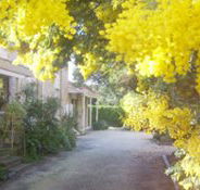 Surfcoast Retreat - C Tourism