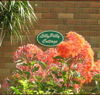 Lillypilly - C Tourism