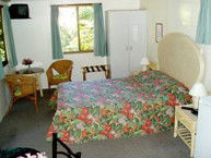 Kuranda Rainforest Accommodation Park - C Tourism 2
