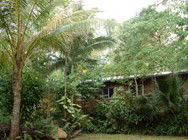 Kuranda Rainforest Accommodation Park - C Tourism 3