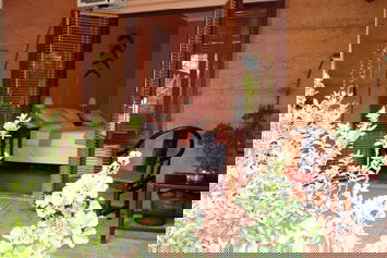 The Lounging Lizard - C Tourism 2