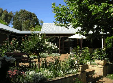 The Noble Grape - C Tourism 0