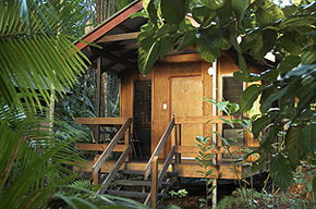 Cape Trib Beach House - C Tourism 0