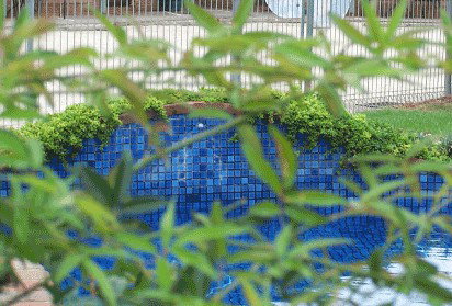 Arcadia Motor Inn - C Tourism 4