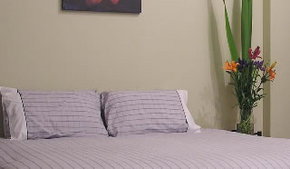 Stingo Hotel - C Tourism 0