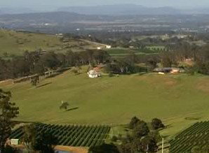 Bimbadeen Estate - C Tourism 1