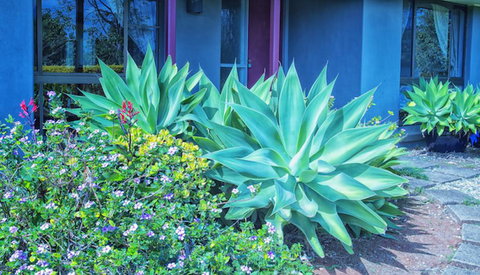 Possum Creek Lodge - C Tourism 2