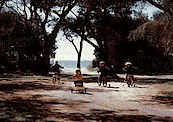 Acacia Caravan Park - C Tourism 4