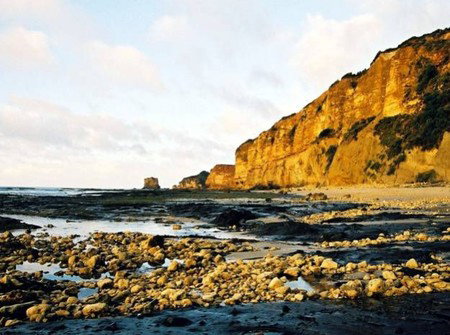 Lightkeepers Inn Motel - C Tourism 3