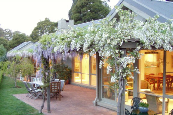 Mount Tomah NSW C Tourism