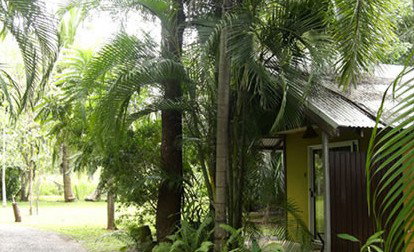 Rum Jungle Bungalows - C Tourism 3