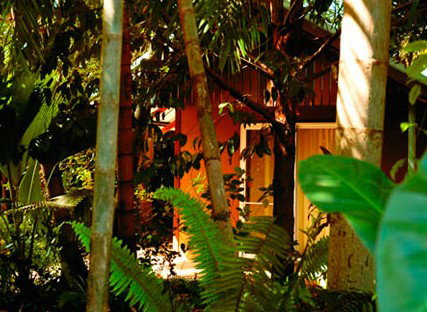 Rum Jungle Bungalows - C Tourism 5