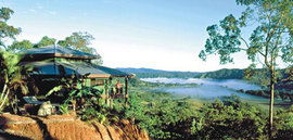 Daintree Cloud 9 - C Tourism 1