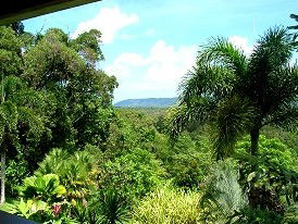Daintree Manor - C Tourism 3