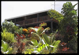 Daintree Manor - C Tourism 5