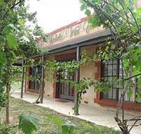 Under the Vines - C Tourism