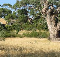 Wings Barossa Bird and Bush Retreat - C Tourism