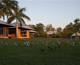 Jingili NT C Tourism