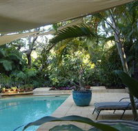 Lily Pad - C Tourism