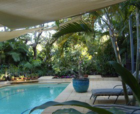 Lily Pad - C Tourism 0