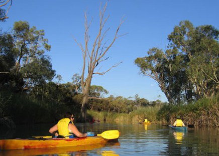 Pike River Woolshed - C Tourism 3