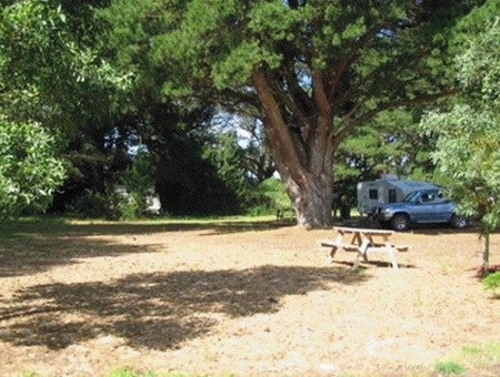 Millicent Hillview Caravan Park - C Tourism 1