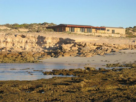 Tiliqua Sunrise - C Tourism 3