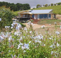 The Blue Grape Vineyard Accommodation - C Tourism
