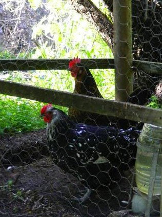 Norma's Place - C Tourism 0