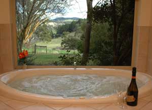 Adelaide Hills Country Cottages - The Nest - C Tourism 0