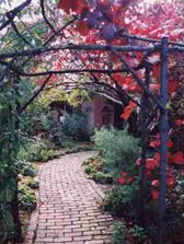 Adelaide Hills Country Cottages - The Nest - C Tourism 2