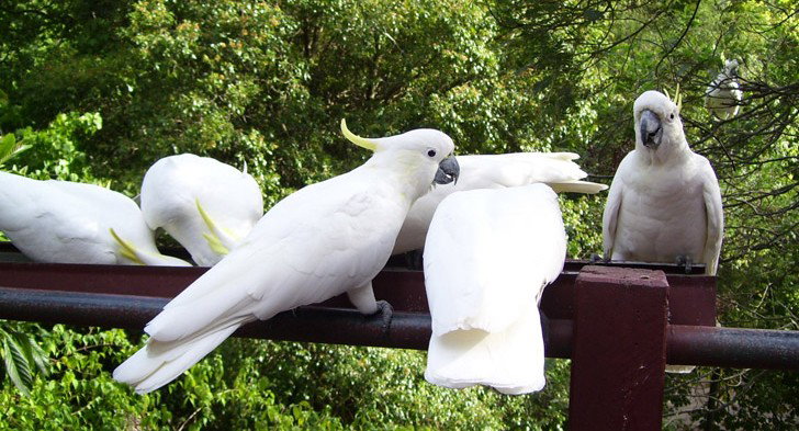 Summertown SA C Tourism