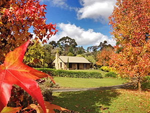 Adelaide Hills Country Cottages - Lavender Fields - C Tourism 0