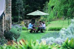 Adelaide Hills Country Cottages - Lavender Fields - C Tourism 2