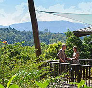 Rose Gums Wilderness Retreat - C Tourism