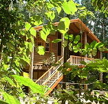 Rivers Edge Rainforest Retreat - C Tourism