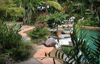 Galvins Edge Hill Bed And Breakfast - C Tourism 5