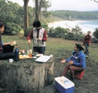 Fortescue Bay Camping Ground - C Tourism