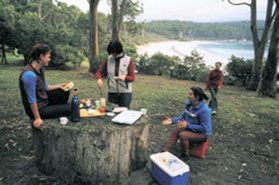 Fortescue Bay Camping Ground - C Tourism 0