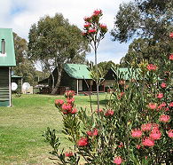 Derwent Bridge Chalets and Studios - C Tourism