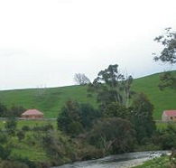 Tin Dragon Trail Cottages - C Tourism