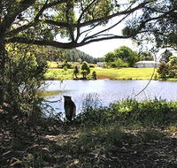 Newry Park Cottage - C Tourism