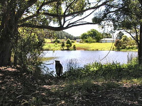 Newry Park Cottage - C Tourism 0