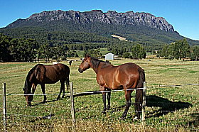 Hurlfield Farm Cottage - C Tourism 0