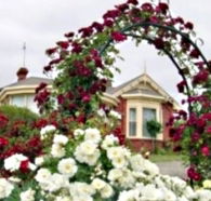 Golden Embers Apartments and B and B - C Tourism