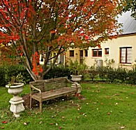 Grandma's House - C Tourism